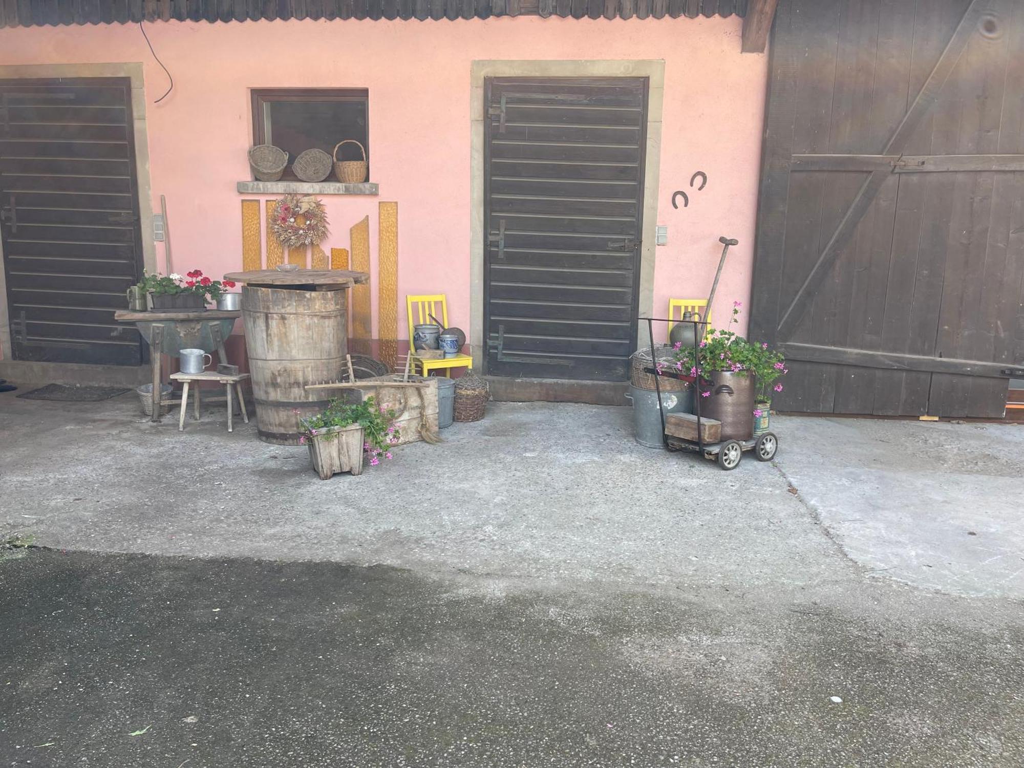 Les Loges De Marianne, Gites D'Exception Proche Europapark Schoenau Εξωτερικό φωτογραφία